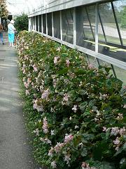 P1110053