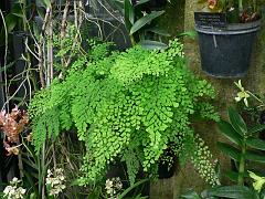 P1110111
