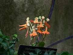 P1110114