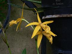P1110117