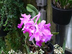 P1110150