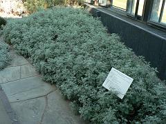 P1110180