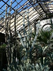 P1110191