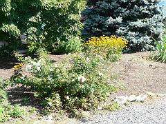 P1110898