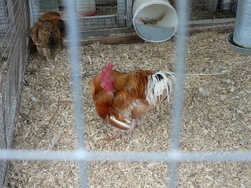 P1120635.JPG