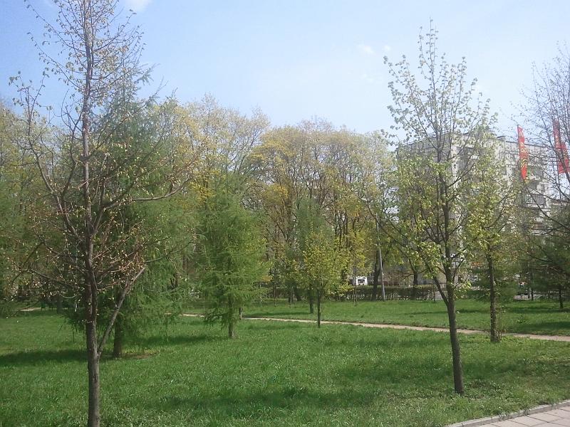 2011-05-07_14.05.34.jpg - SAMSUNG            