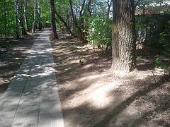 2011-05-11 12.19.19