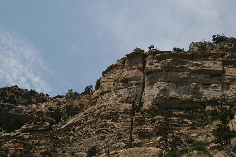 IMG_9510.JPG