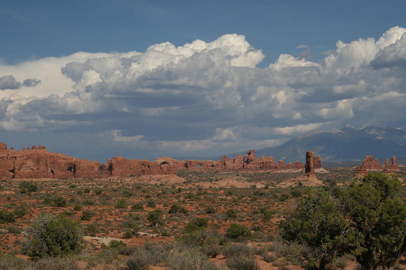 IMG_9562.JPG