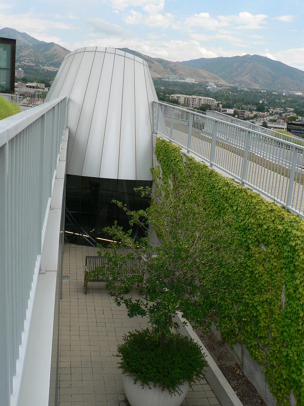 P1090791.JPG