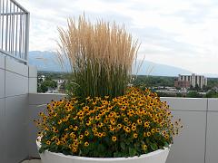 P1090800