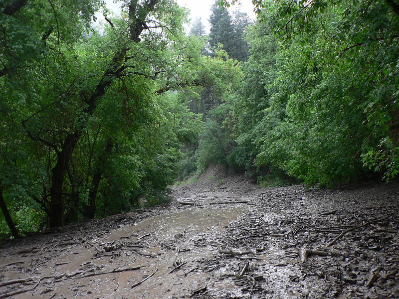 P1100067.JPG